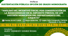 Sustentación Pública Opción de grado